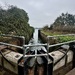 Looking from the lock.