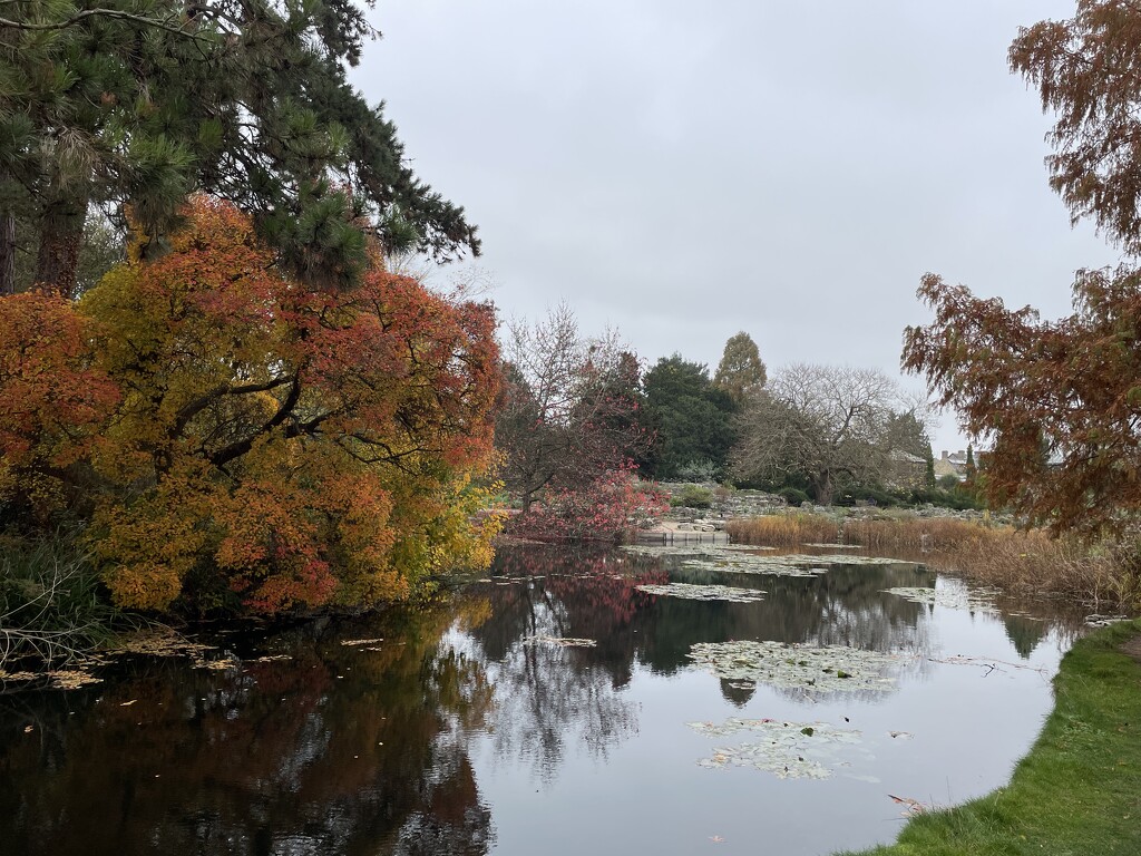 Cambridge botanical gardens  by sshoe