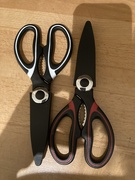 7th Nov 2024 - Pair of Scissors