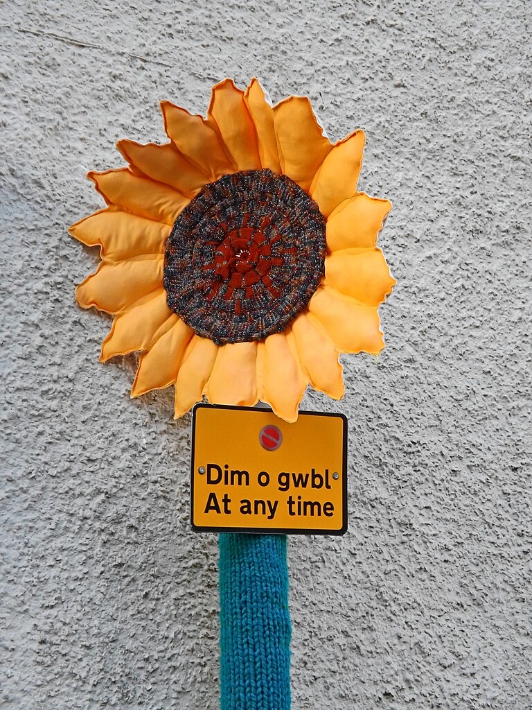 Sunflower No Parking Post  by ajisaac