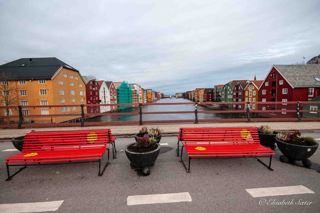 The piers in Trondheim by elisasaeter