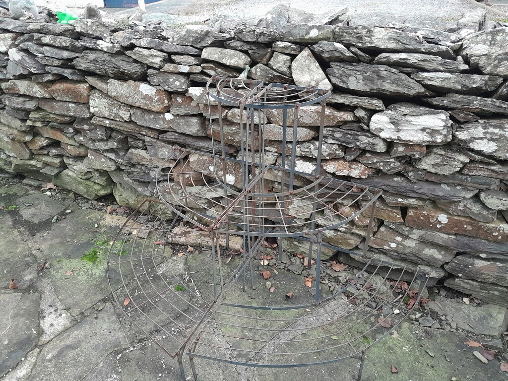 started tidying the patio for winter by anniesue