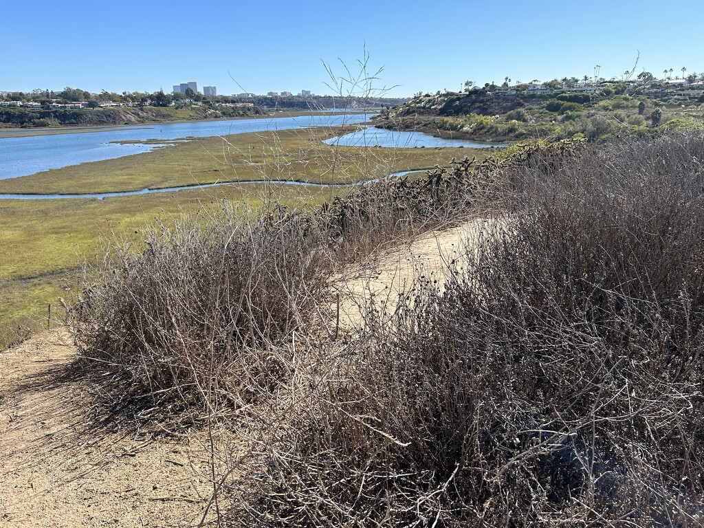 Upper Newport Bay  by loweygrace