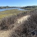 Upper Newport Bay 