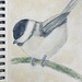 Chickadee watercolor 