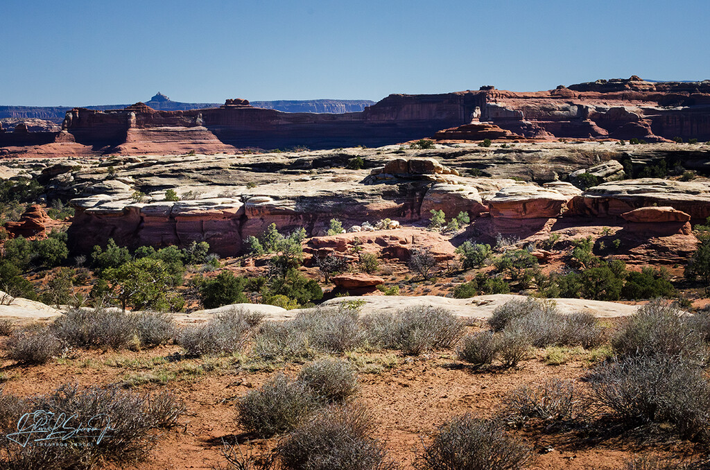 Canyonlands grandeur (view on black) by ggshearron