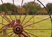 6th Nov 2024 - A hay rake?