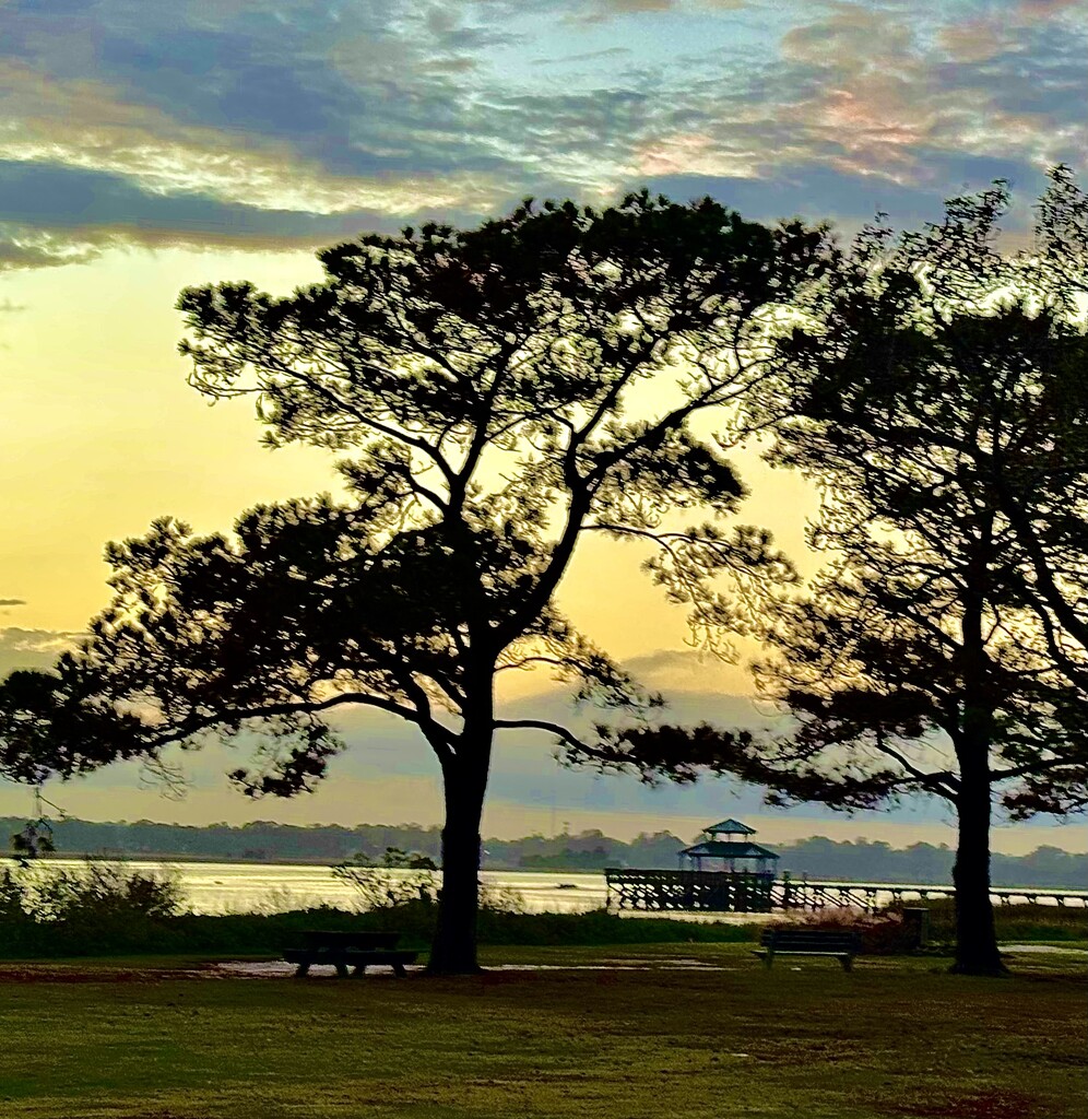 Sunset at the park overlooking the Ashley River by congaree