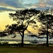 Summer at the park overlooking the Ashley River