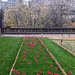 Poppies on the terrace 