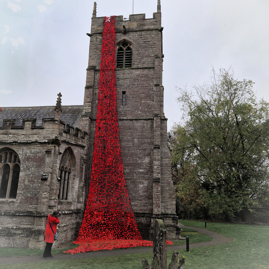 The poppy cascade at Inkberrow by andyharrisonphotos