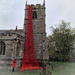 The poppy cascade at Inkberrow