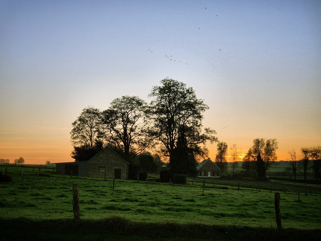 Another evening run by lettevy