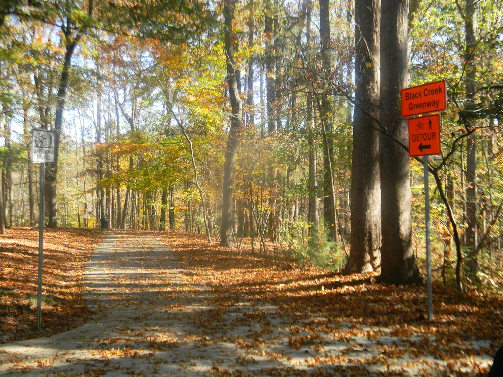 Black Creek Greenway at North Cary Park by sfeldphotos