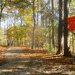 Black Creek Greenway at North Cary Park