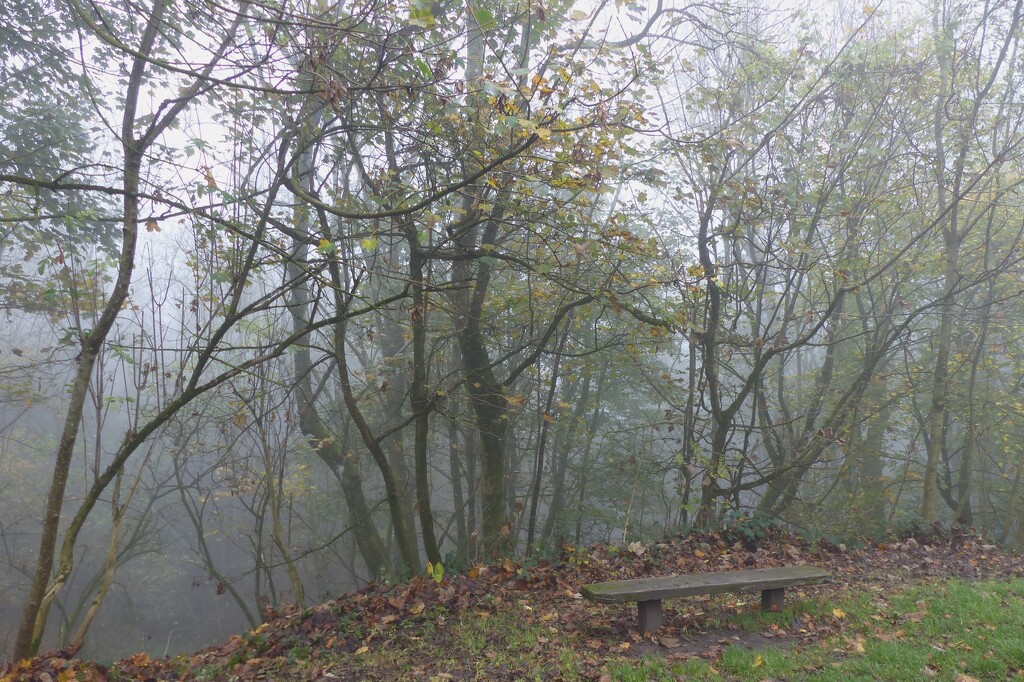 Bench in the clouds by jokristina