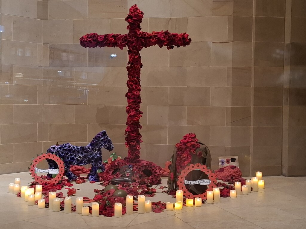 Day 314/366.  Remembrance day display, Sheffield Cathedral. by fairynormal