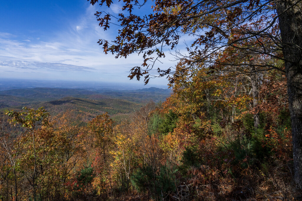 Cohutta Mountains by kvphoto