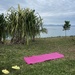 Yoga spot