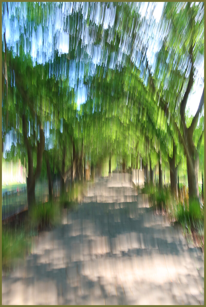 Distorted tree tunnel  by leggzy