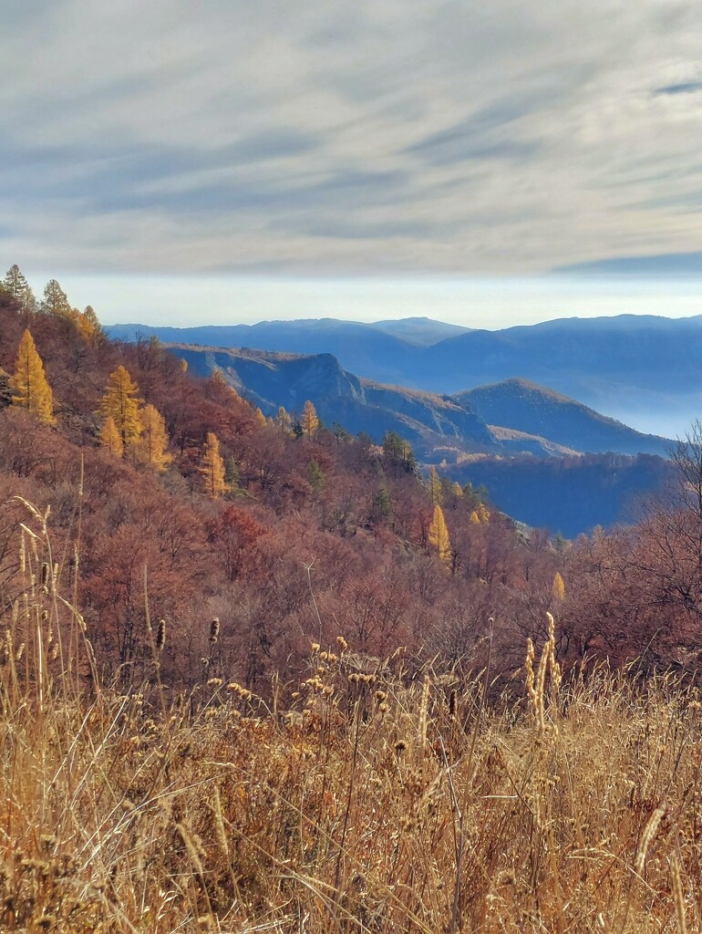 Layers and strata by monikozi