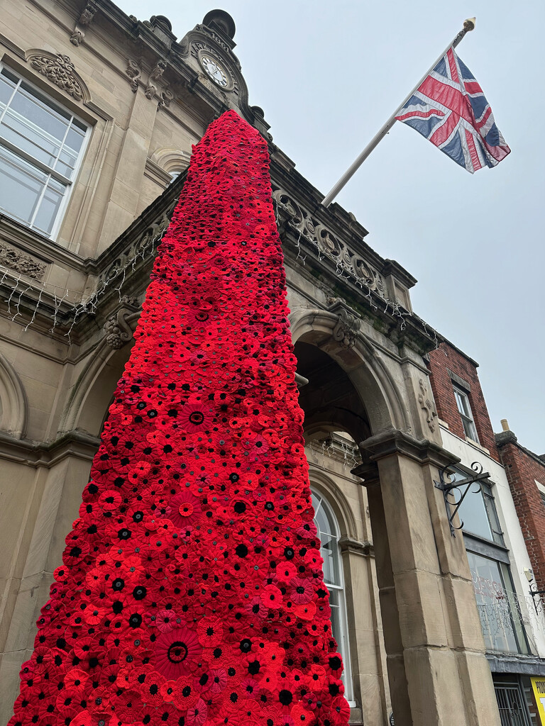 Poppies by 365projectmaxine