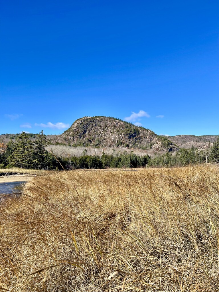 Acadia NP by dianen