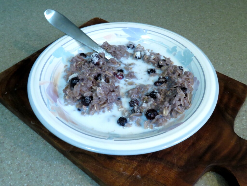 Blueberry Oatmeal by grammyn