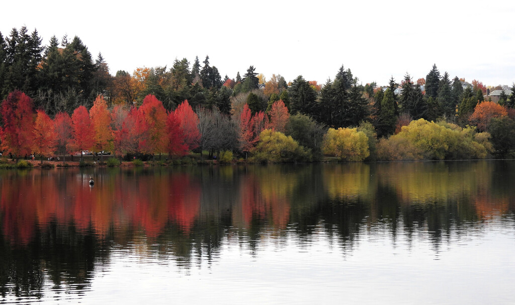 Reflections... by seattlite