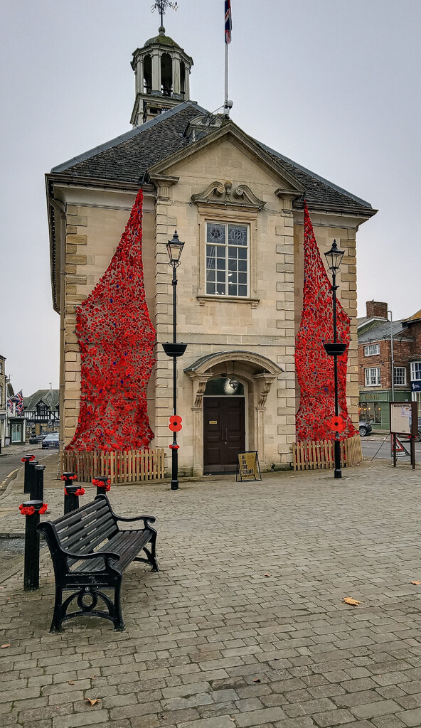 Poppies everywhere  by 365projectorgjoworboys