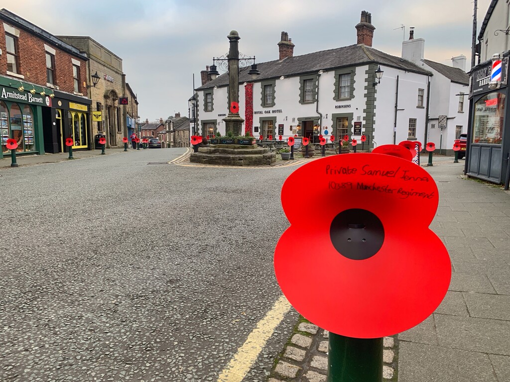 Poppies in Garstang. by happypat