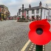 Poppies in Garstang.