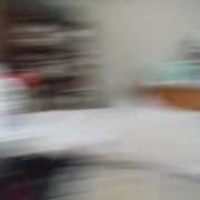 10th Nov 2024 - Office Mayhem