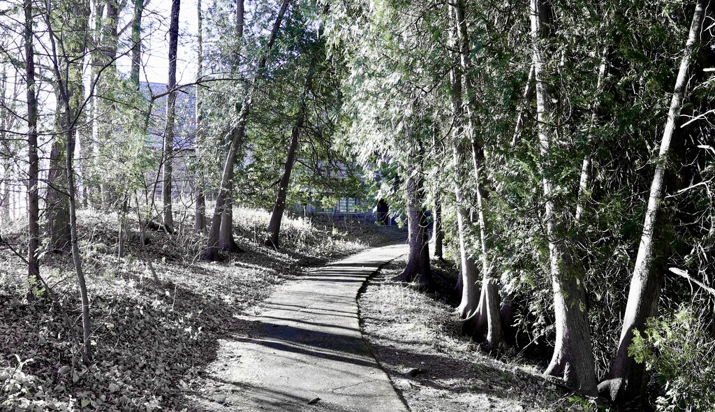 On My Walk by corinnec