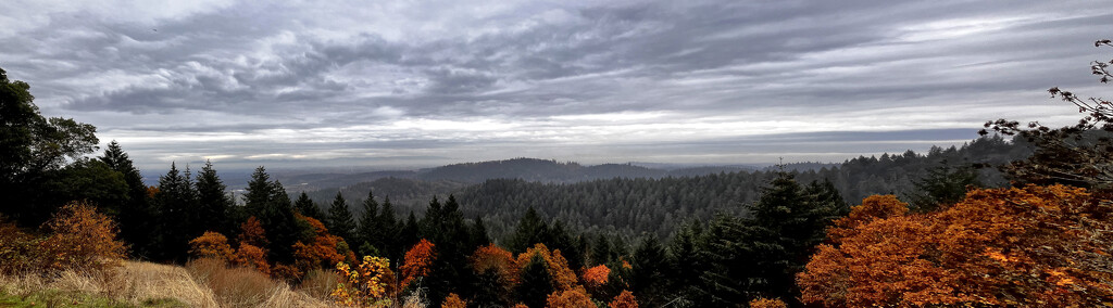 Looking out from the top by joysabin