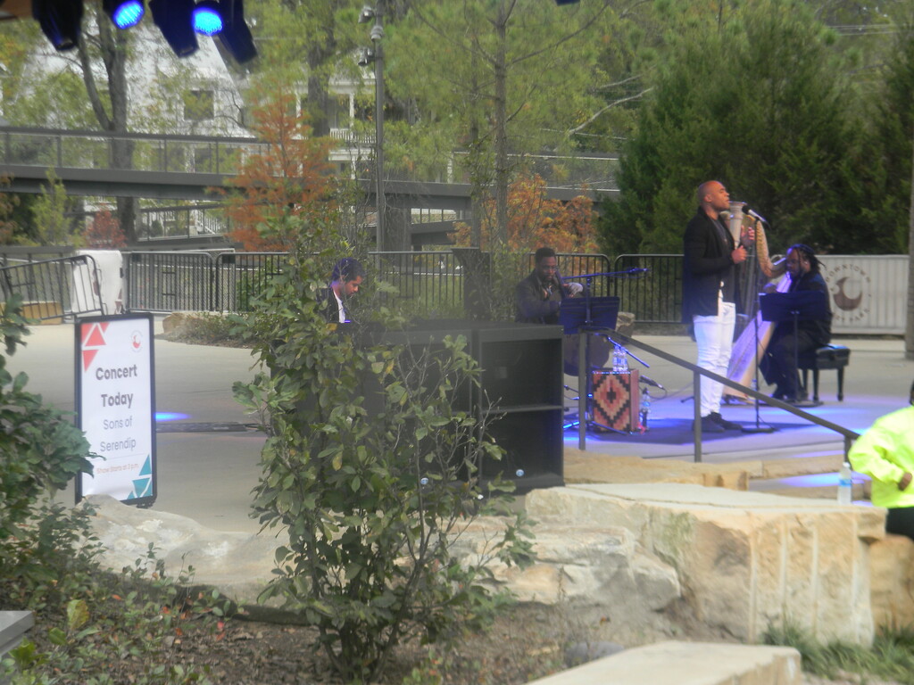 Sons of Serendip at Downtown Cary Park by sfeldphotos