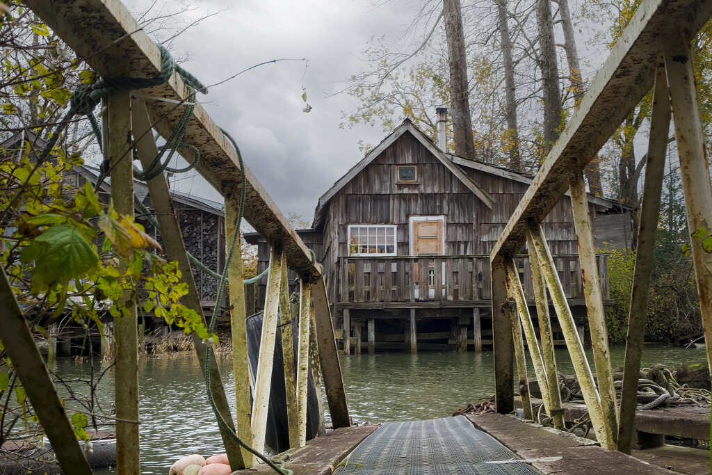 Stilt Home, Finn Slough by cdcook48