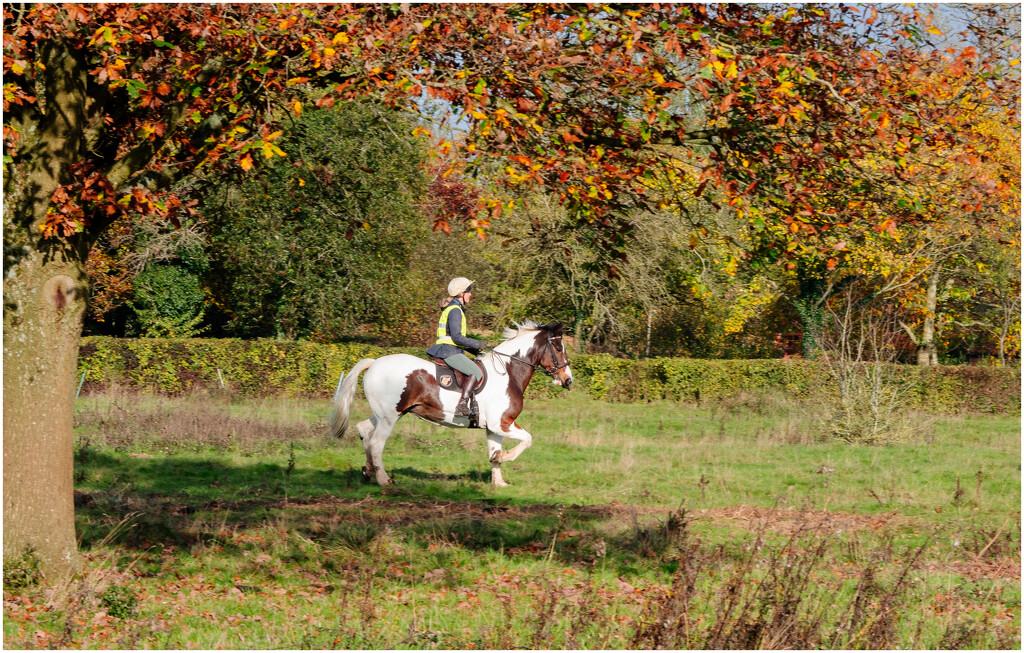 Castlemorton Common by clifford