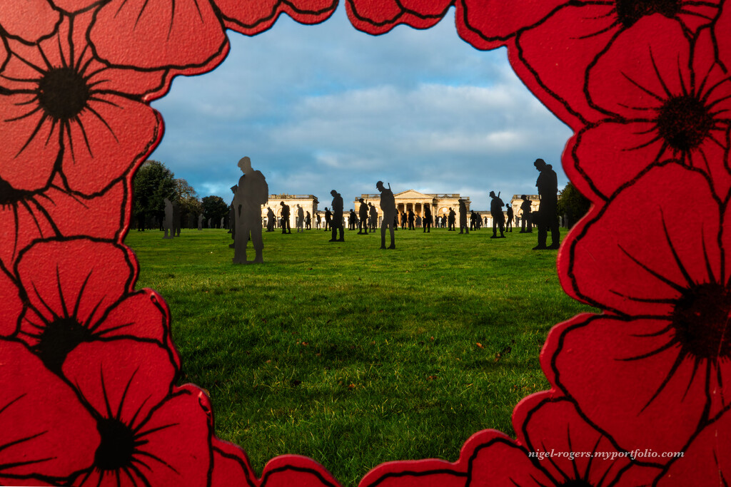 Armistice Day by nigelrogers