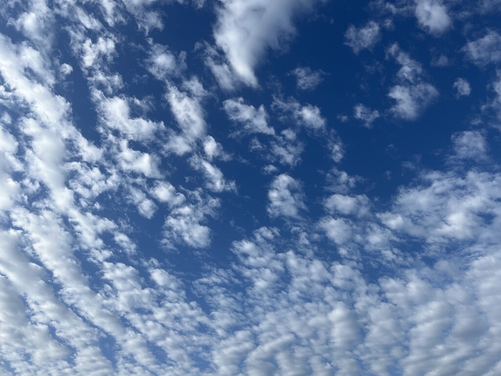 Skies by sarahabrahamse
