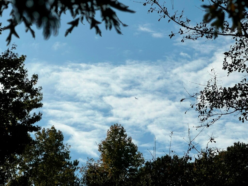 Framed clouds... by marlboromaam