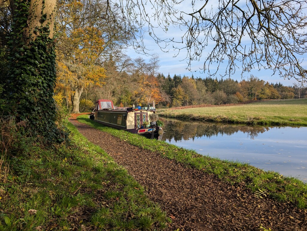 SUNSHINE AT LAST! by derekskinner