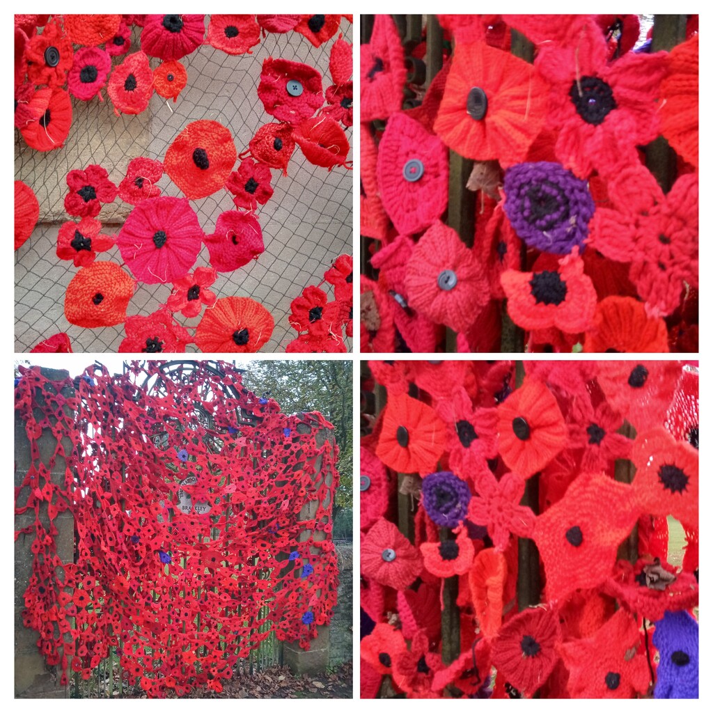 Poppy Collage  by 365projectorgjoworboys