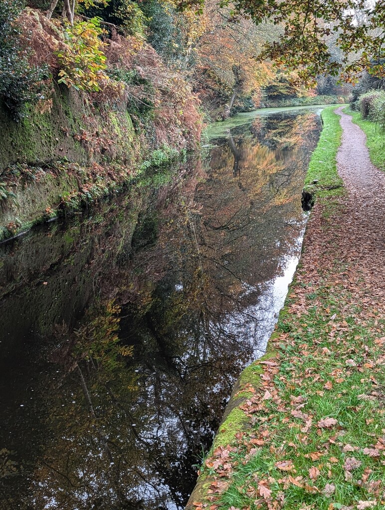 REFLECTIONS. by derekskinner