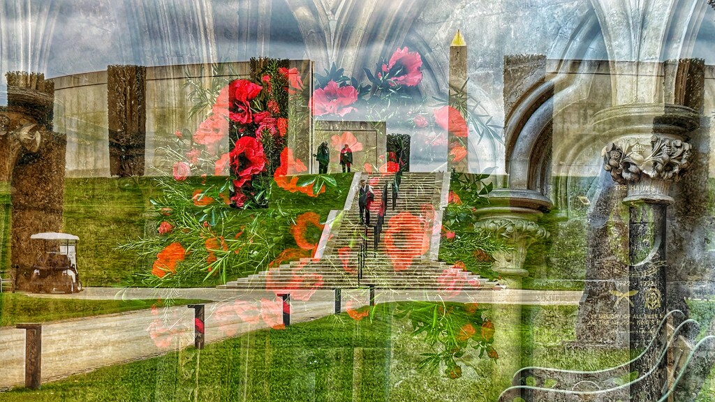 Armistice Day by carole_sandford