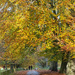 Wollaton Park Autum Colours