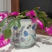 Christmas cactus....will it last till then?