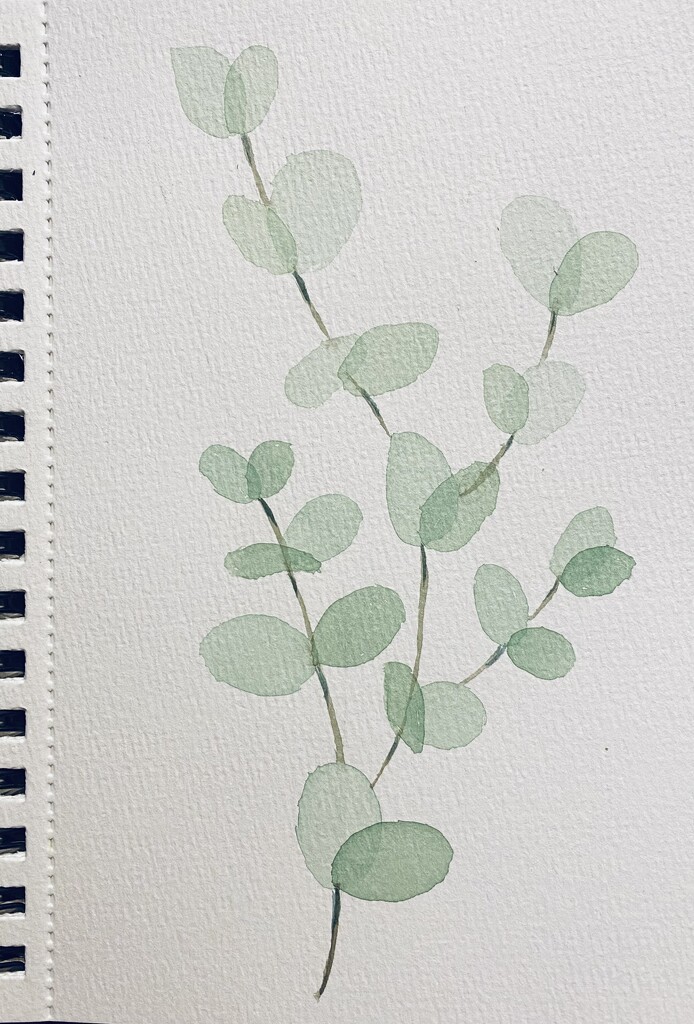 Watercolor Eucalyptus by mtb24