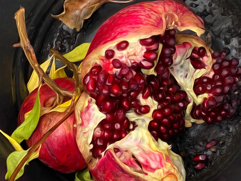 Pomegranate  by joysfocus