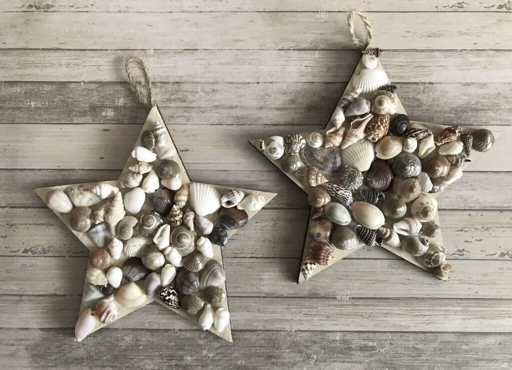 Seashell Star Ornaments  by dailypix